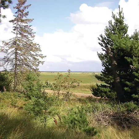 Vestervej Romo Ix * Rømø