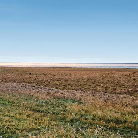 Vestervej Romo Ix Feriehus Romo